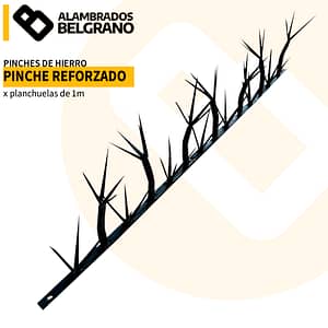 PINCHE